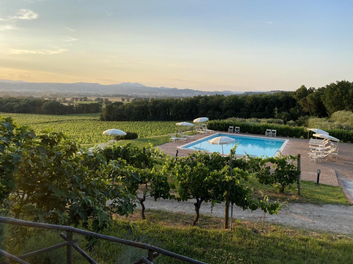 Poggio Alle Vigne Torgiano Exterior foto