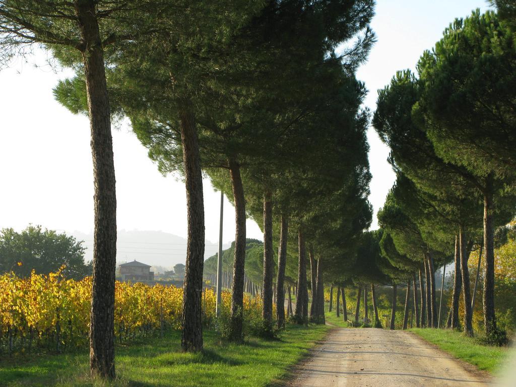 Poggio Alle Vigne Torgiano Exterior foto